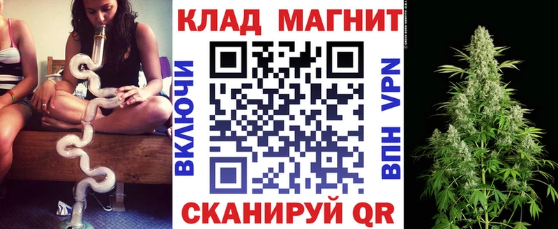 Где купить наркоту Кириши Бошки Шишки  Alpha PVP  МЕФ  COCAIN 