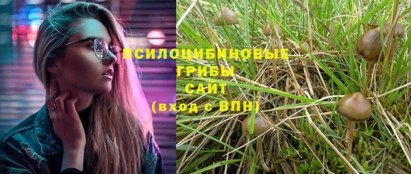 крисы Верхнеуральск